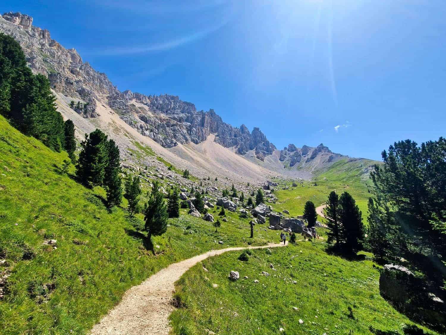 A scenic mountain landscape featuring a winding dirt path through a grassy meadow with scattered rocks. Pine trees line the path, leading towards rugged, sunlit peaks under a clear blue sky.