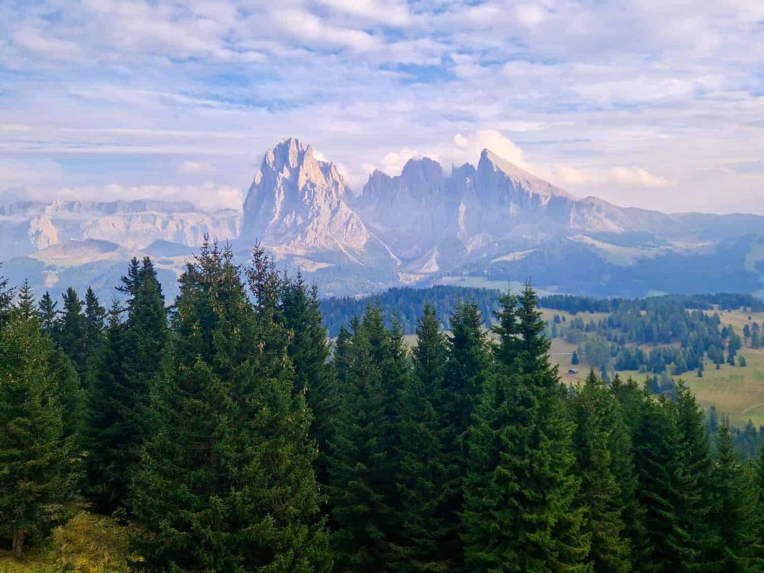 Mountain range under a partly cloudy sky, with sunlit rocky peaks in the background. In the foreground, dense green coniferous trees and open grassy fields are visible. The scene conveys a serene, natural landscape.
