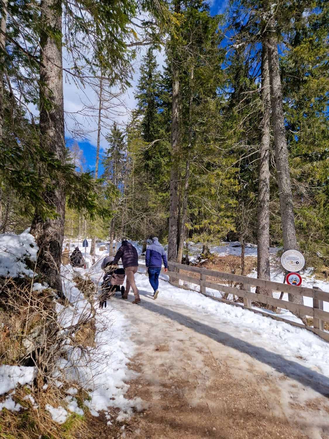 People walking on a snowy path through a forest with tall trees on a sunny day. Some snow covers the ground and branches. A wooden fence lines the path, and a sign is visible. The sky is blue with a few clouds.