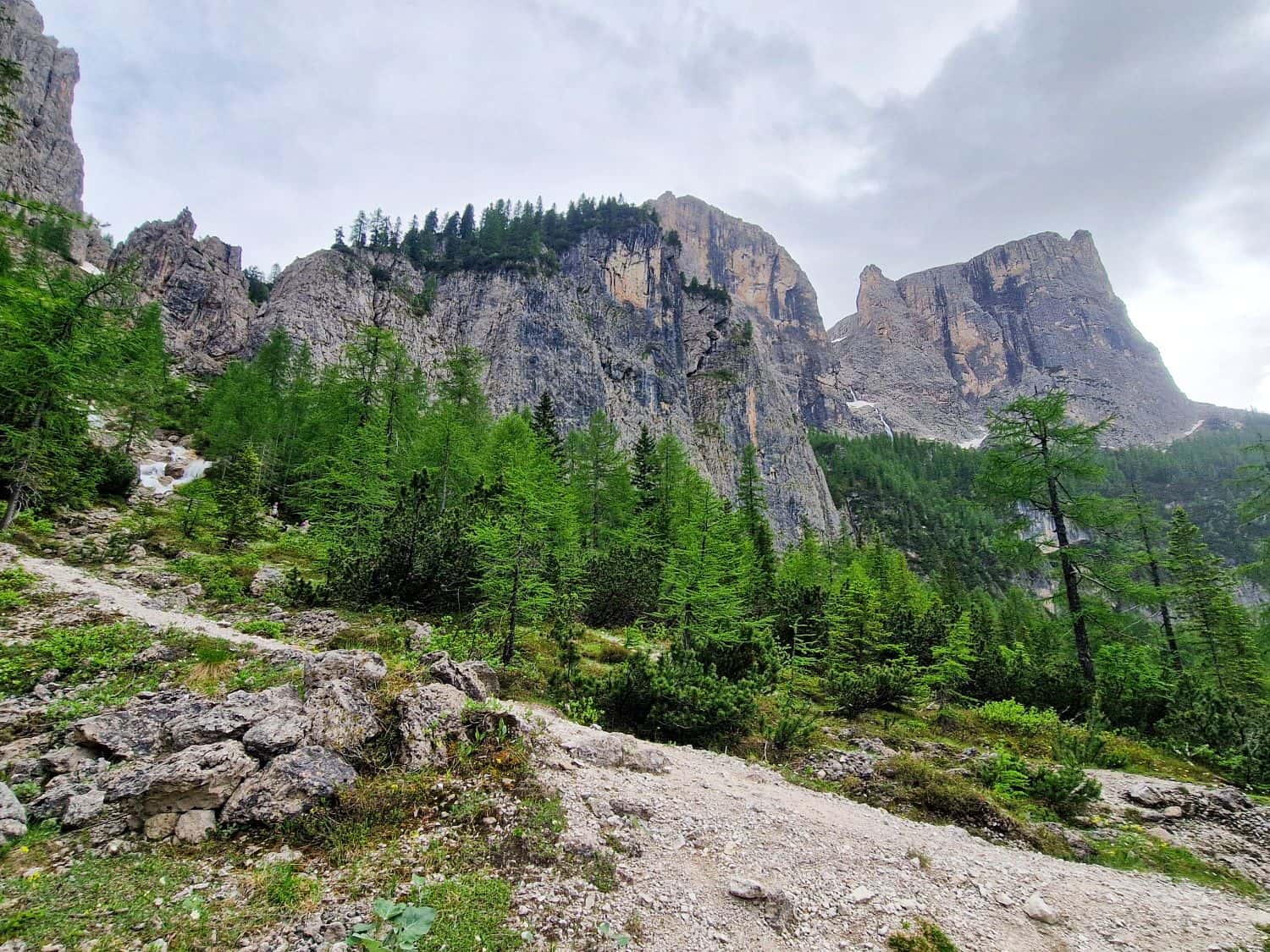 A rocky mountain trail winds through green pine trees with steep, rugged cliffs rising in the background under a cloudy sky.