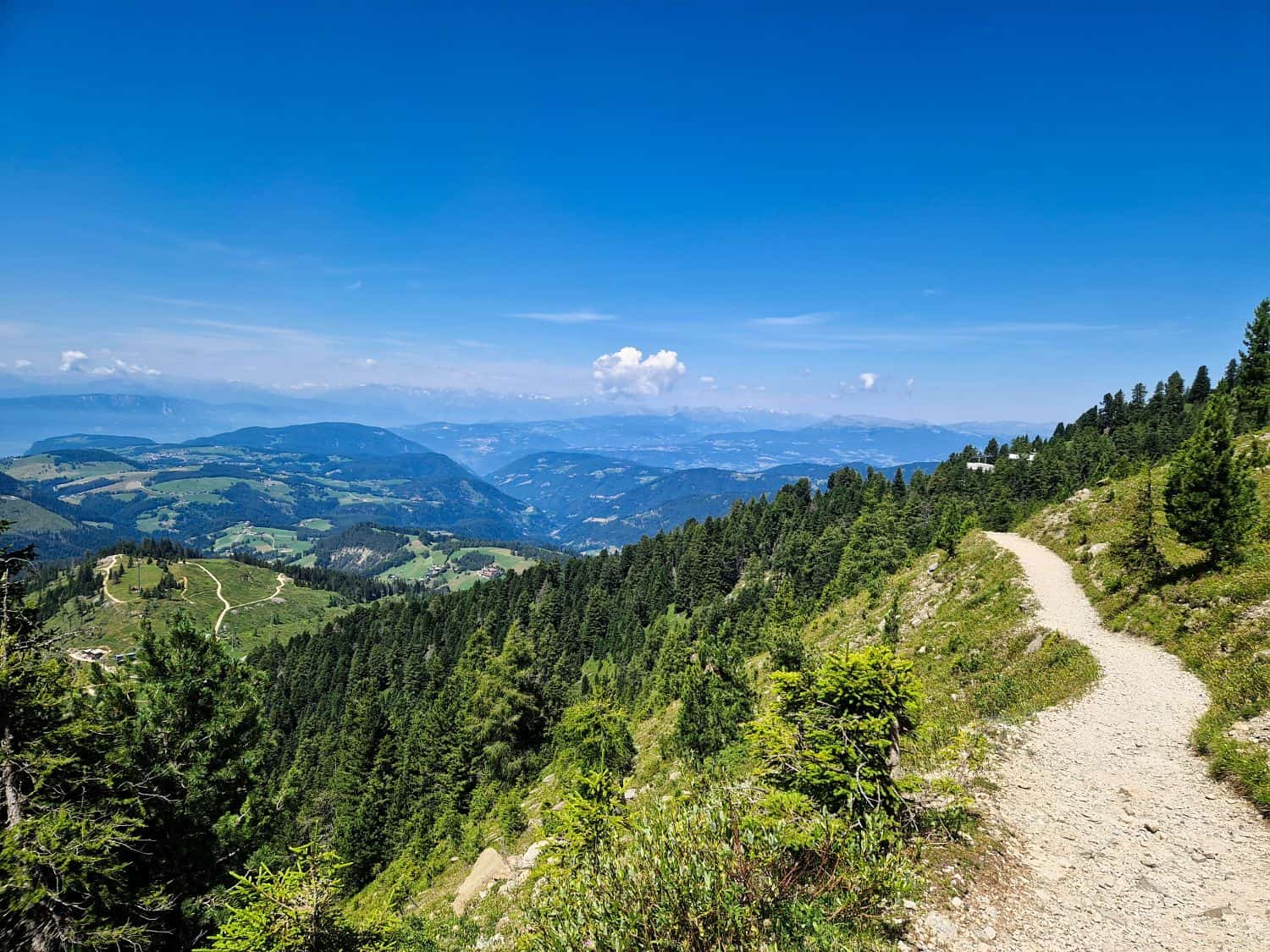 A winding dirt path leads through green pine forests on a sunny mountainside, with rolling hills and valleys stretching into the distance under a bright blue sky scattered with clouds.
