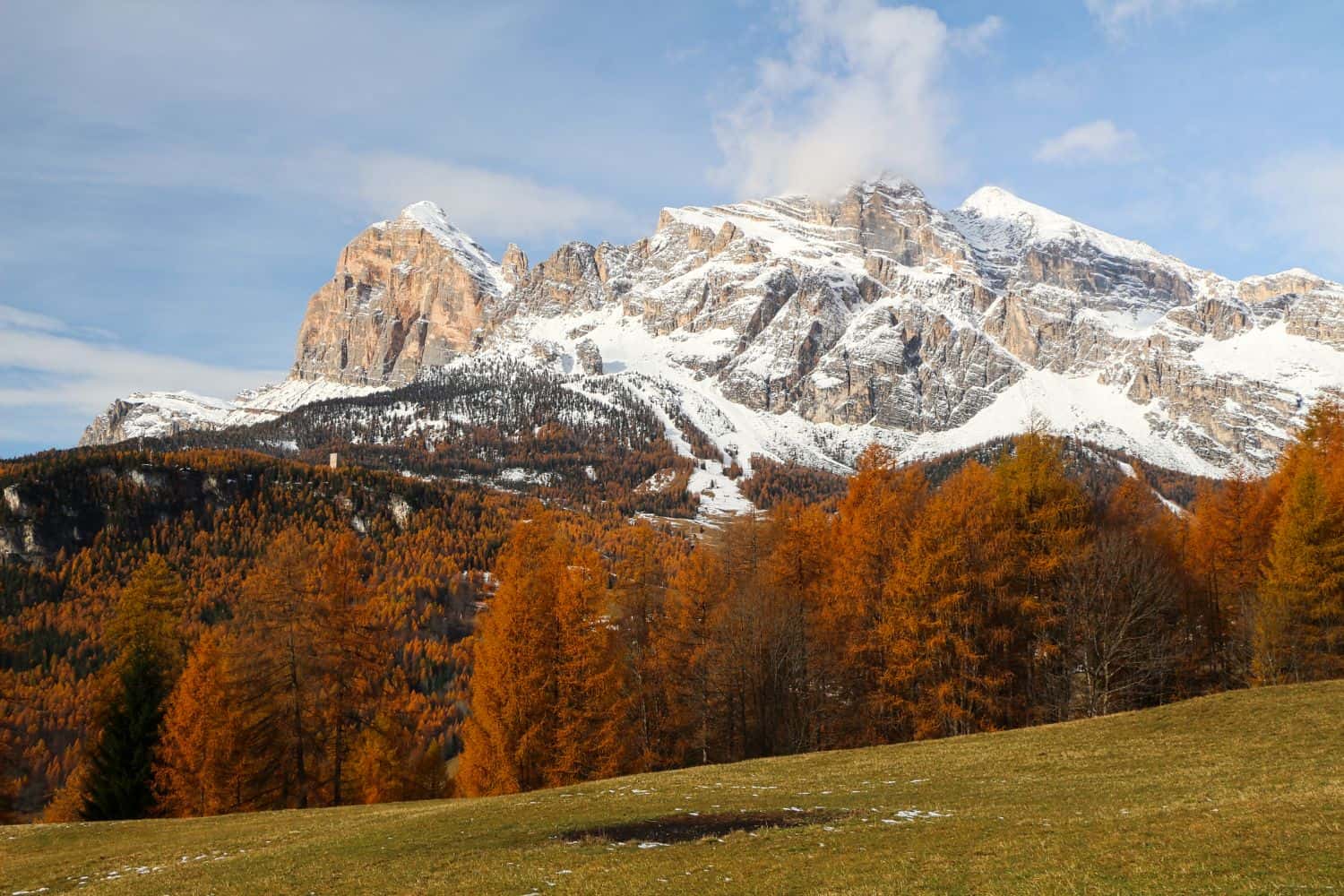 Snow-capped mountains rise above a forest of orange and green trees in autumn, with a grassy field in the foreground under a partly cloudy sky.