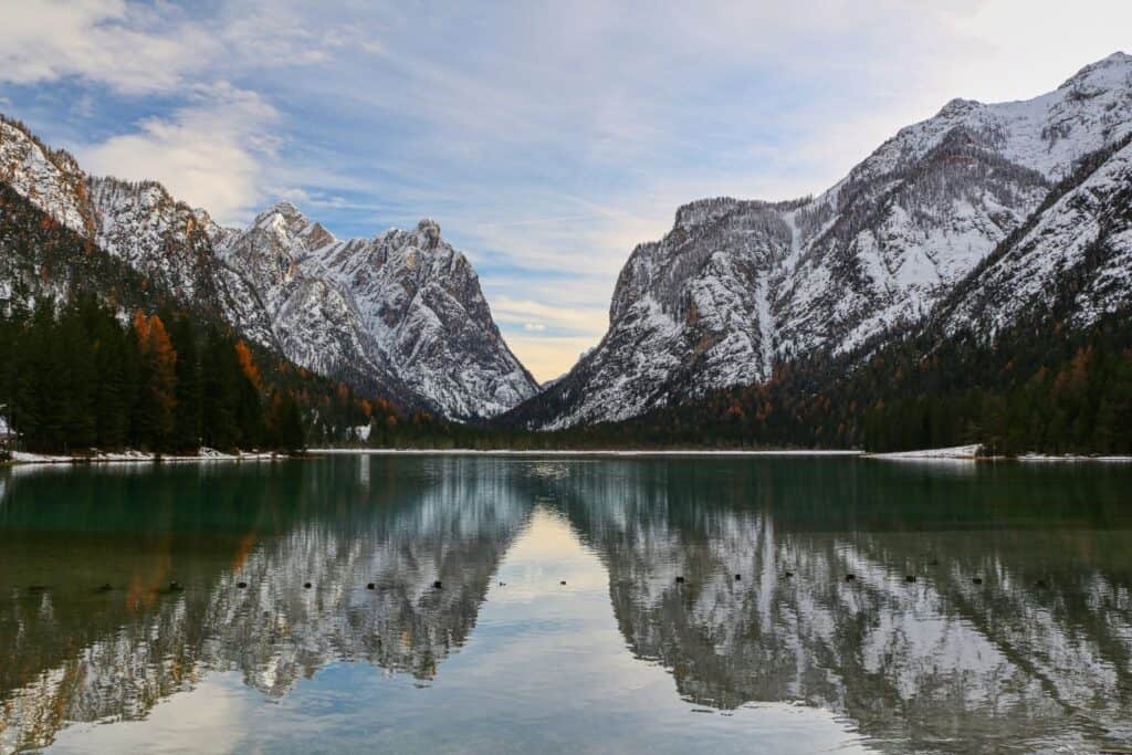 A tranquil lake reflects snow-capped mountains, pine forests, and a partly cloudy sky. The shoreline is lined with trees, and ducks float on the calm water.