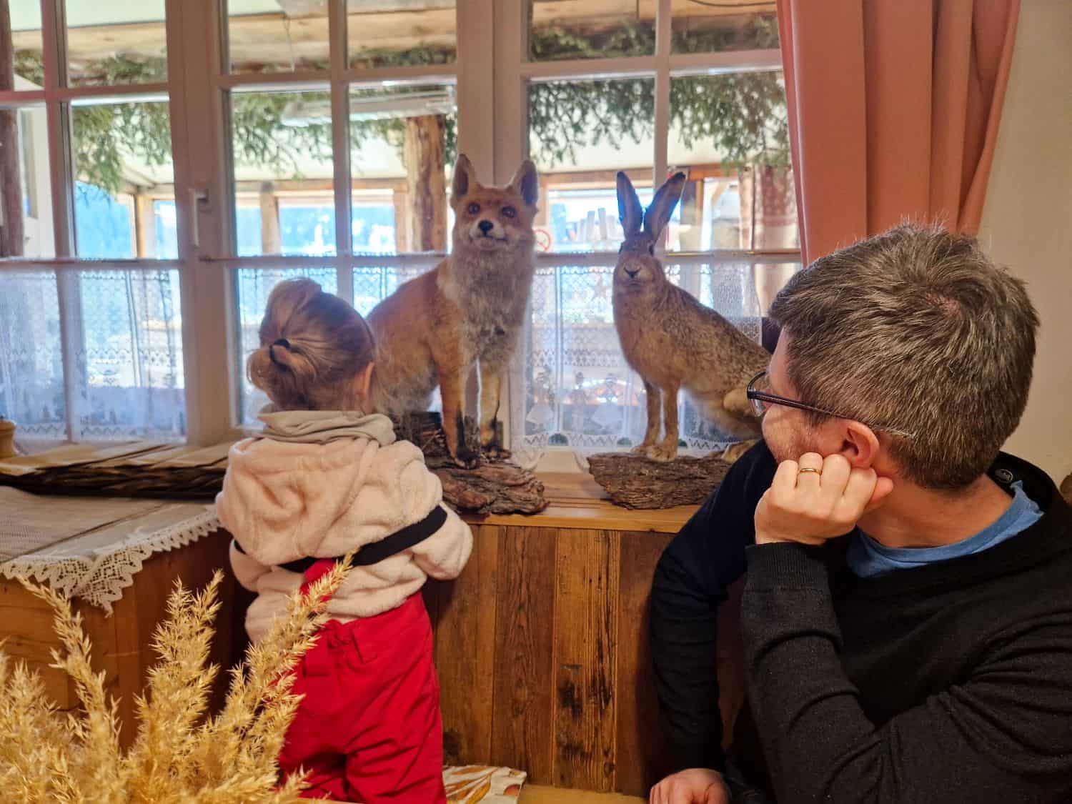 A man and a young girl look at taxidermy displays of a fox and a hare on a wooden counter inside a cozy room with large windows and lace curtains.