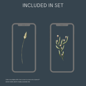 Aesthetic Floral & Minimal iPhone Wallpapers