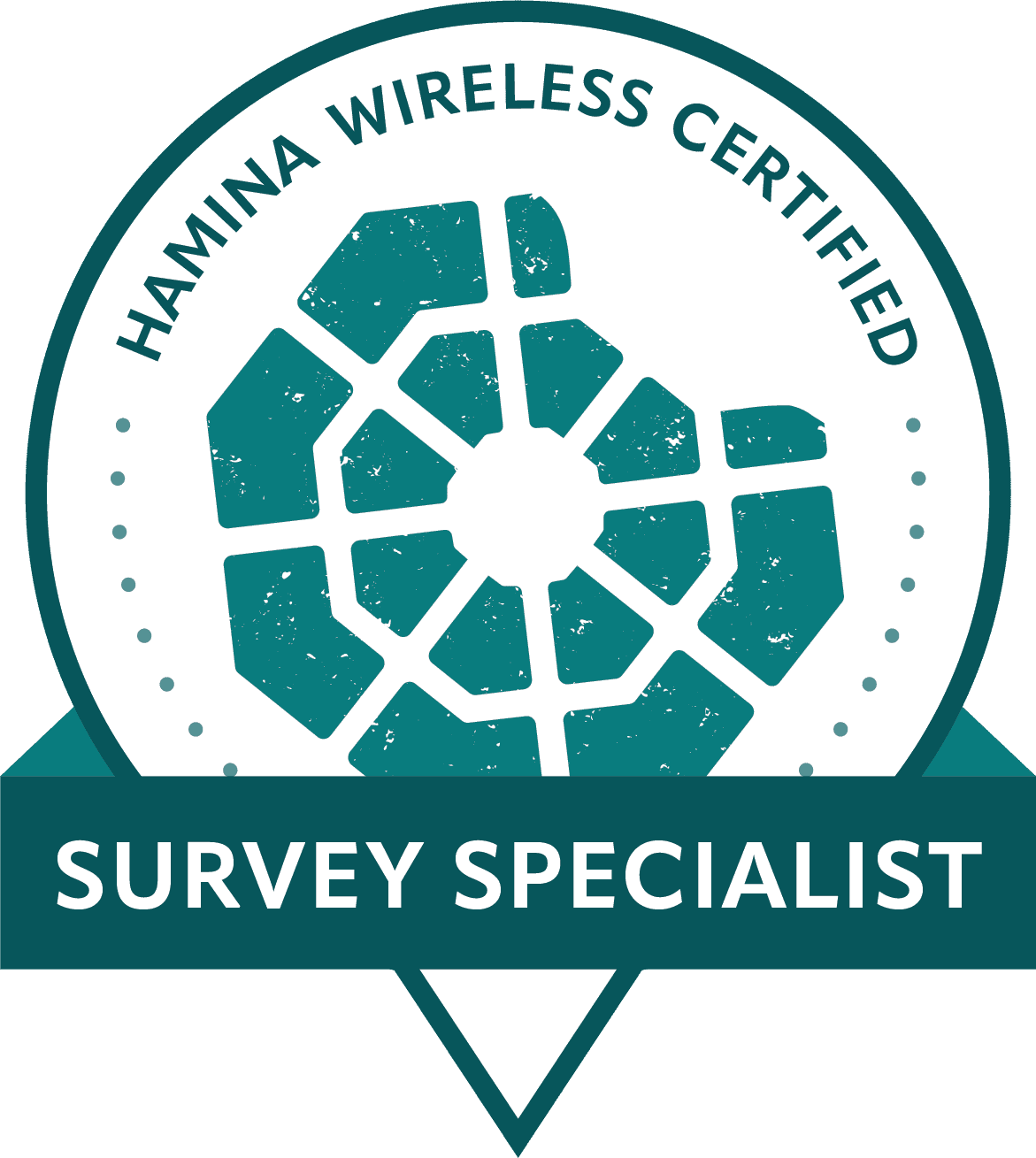 Hamina Survey Specialist Zertifizierungsbadge