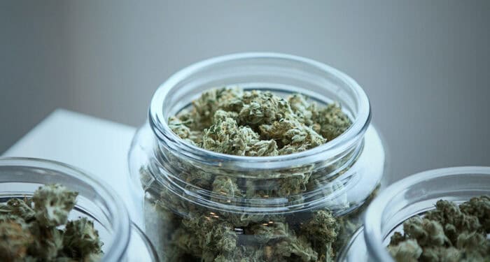 New Jersey Approves First Adult-Use Cannabis Sales