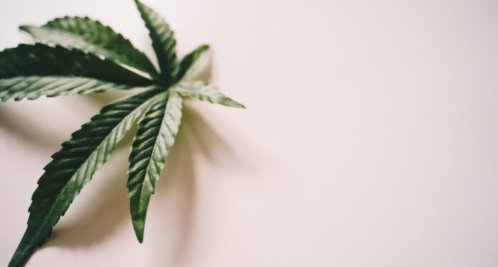 Stagnant Qualifying Conditions Raise Specter of Cannabis Legalization