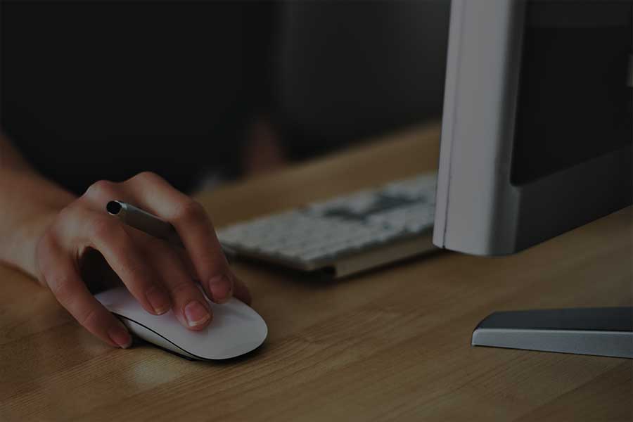 wordpress training