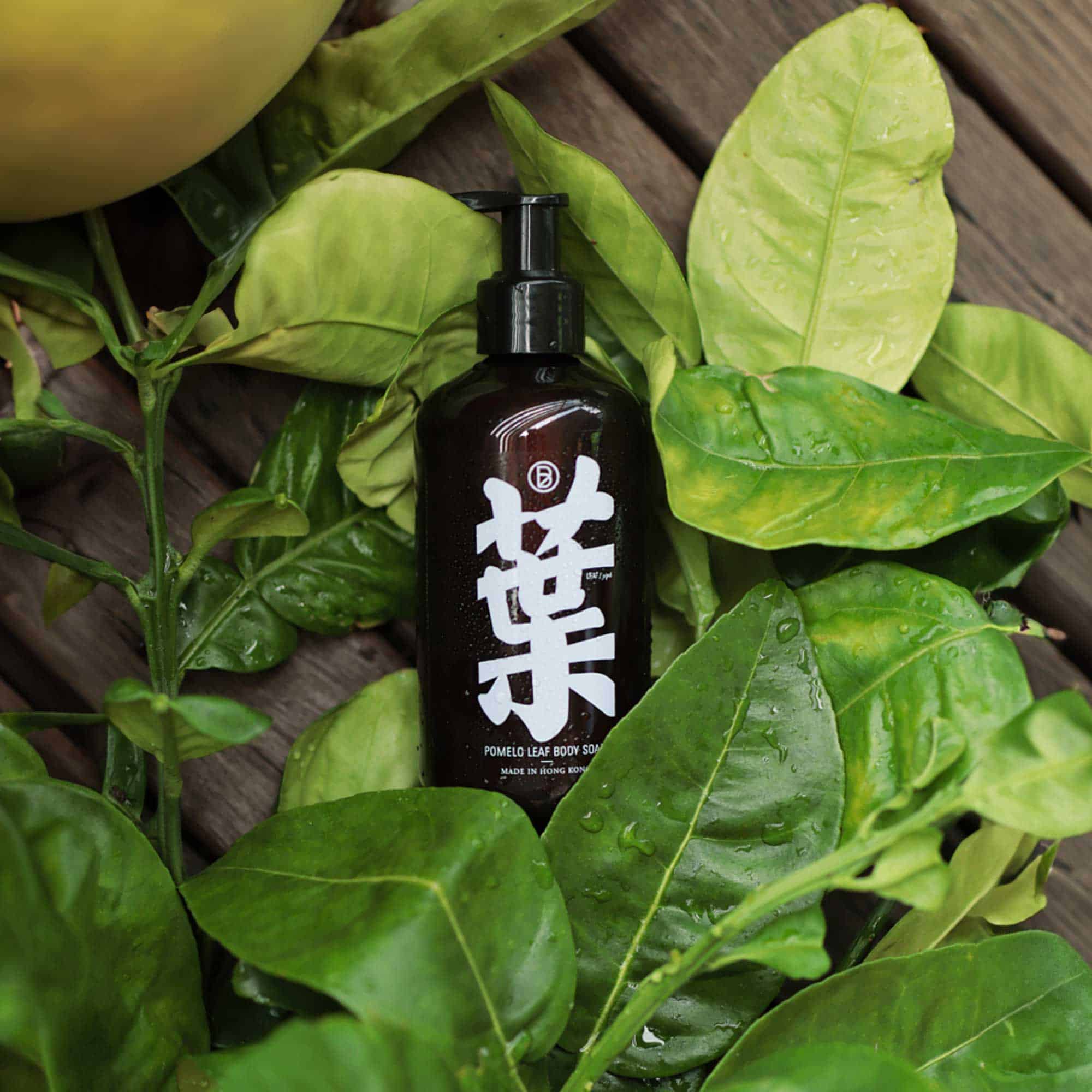 Bathe to Basics 碌柚葉天然沐浴露 Pomelo Leaf Body Soap - Image 2