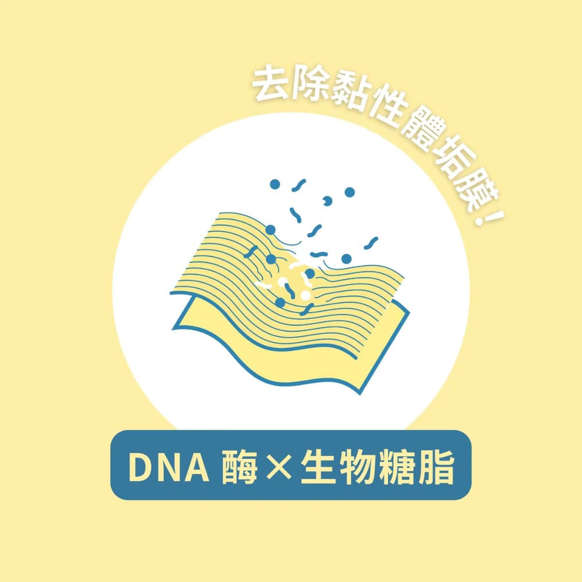 HYGINOVA 複合酶濃縮洗衣液 Plus  - Image 2