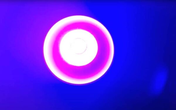 ADJ UV COB Cannon Blacklight Verhuur