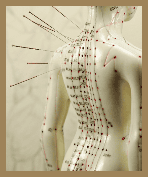 Model of an acupuncture doll with needles