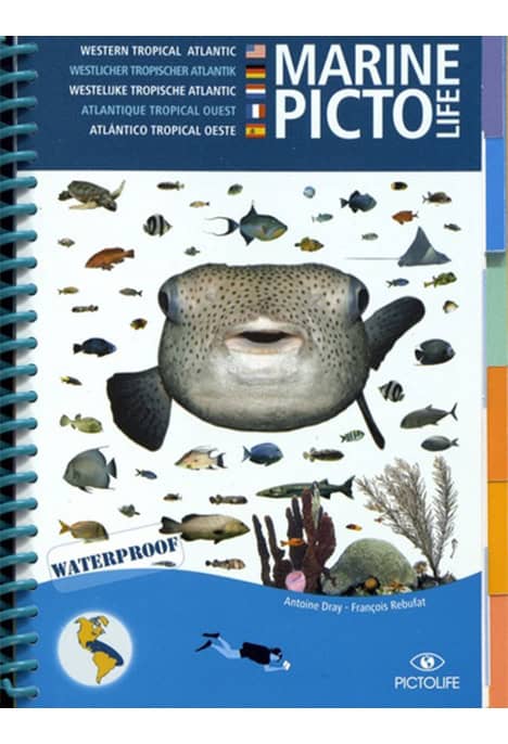Marine Pictolife Atlantique Tropical Ouest