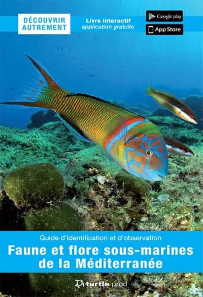 Decouvrir autrement faune flore mediterranee 2