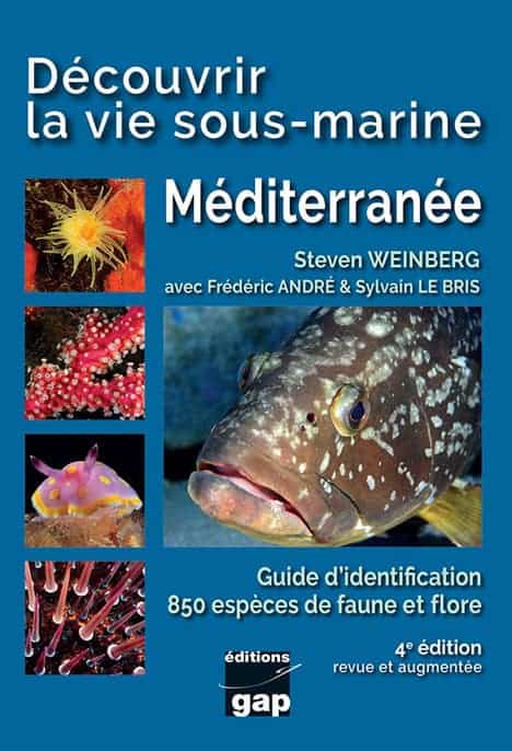 Decouvrir Vie Sous Marine Mediterranee 4 Edition