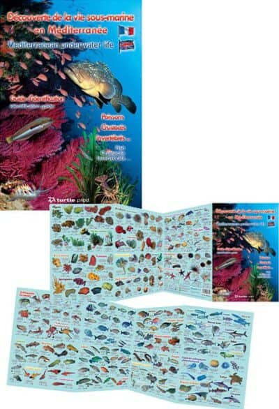 Depliant faune et flore mediterranee fr ang 2