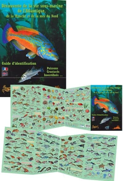 Depliant faune flore atlantique fr ang 2