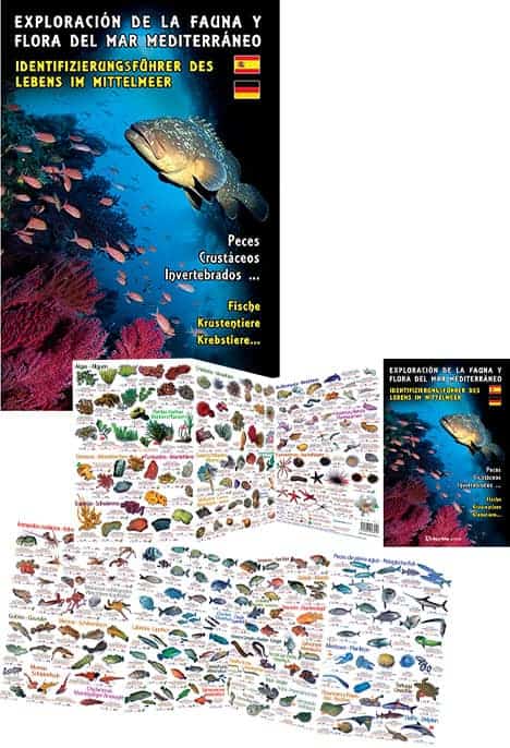 Depliant Faune Flore Mediterranee Esp All