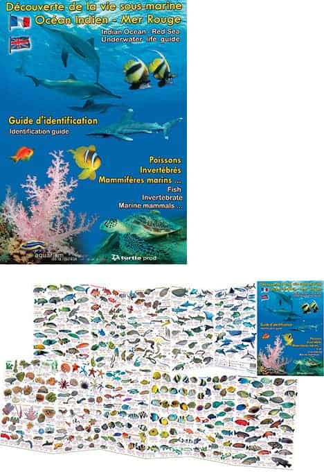 Depliant Faune Flore Ocean Indien Fr Ang