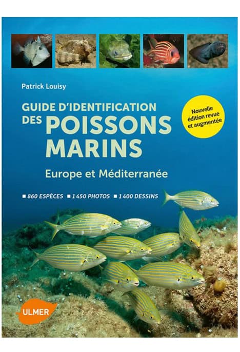 Guide D Identification Des Poissons Marins Europe Et Mediterranee