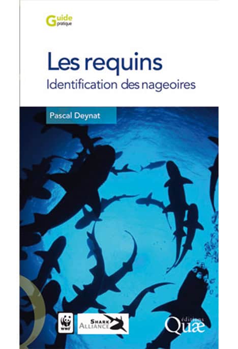 Les Requins, Identification Des Nageoires