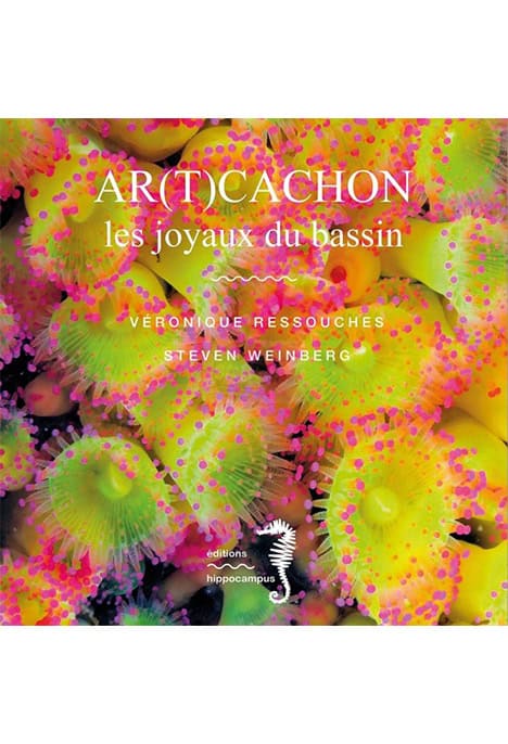 Ar(t)cachon