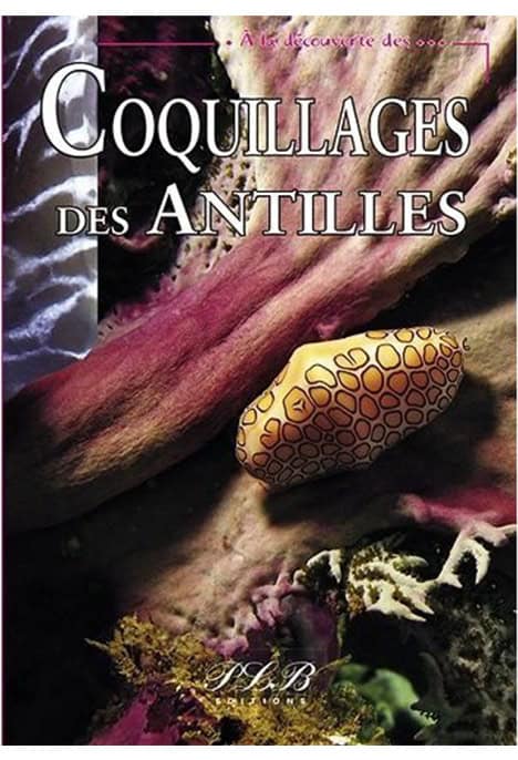 Coquillages Des Antilles