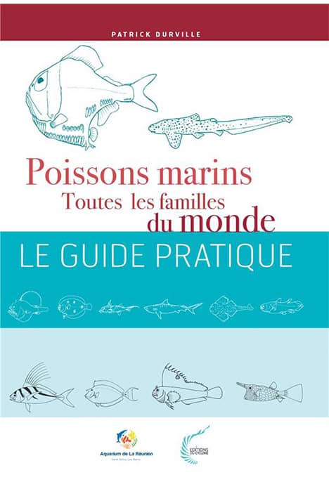 Poissons Marins Toutes Les Familles Du Monde