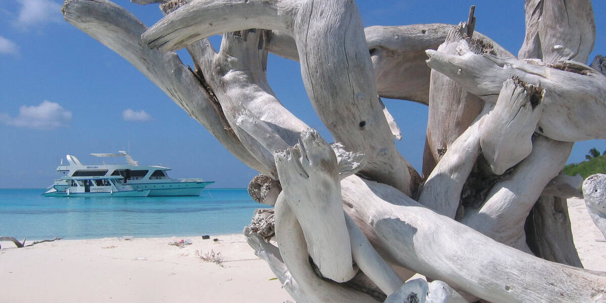 Croisière aux Maldives