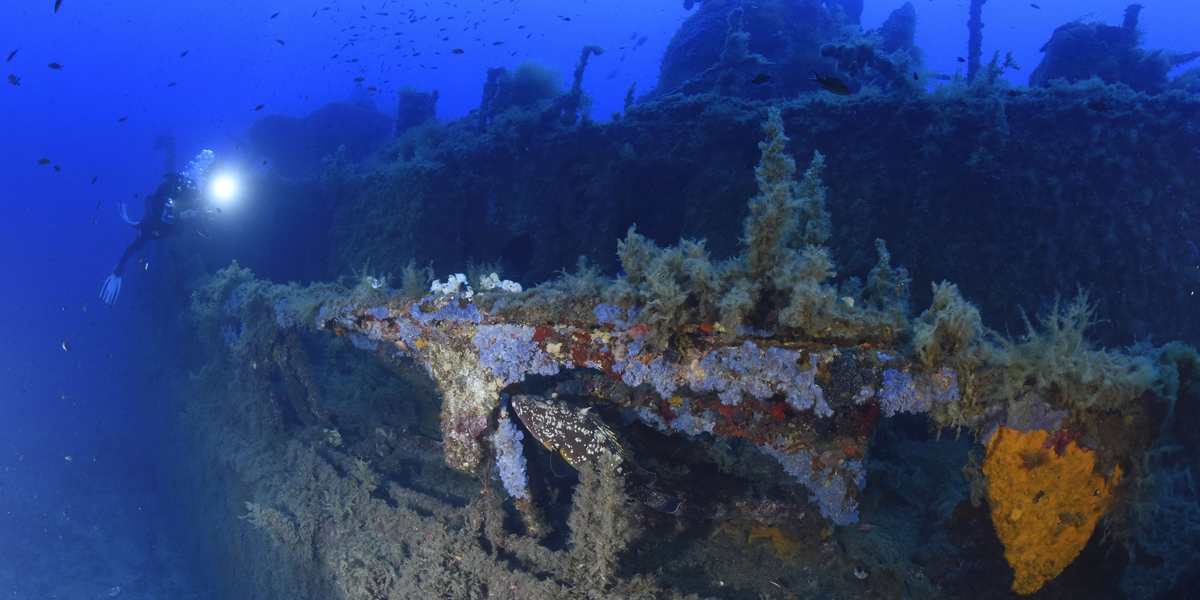 Épave de l'Alcyon C en Corse