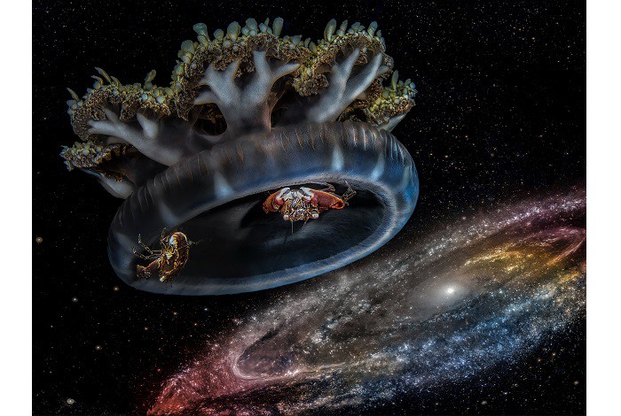 Hm1 underwater art michal stros andromeda(1)