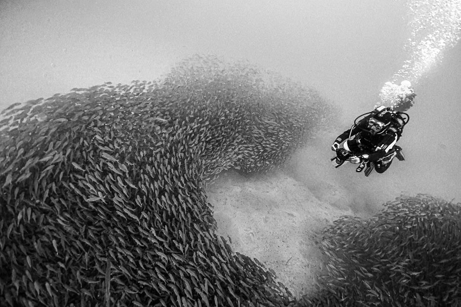 1er Prix Noir Et Blanc. © Dominique Renard