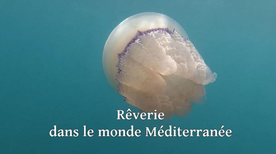 Ve 02arnaultleclairreverie Dans Le Monde Mediterranee3eme Prix Video Espoir