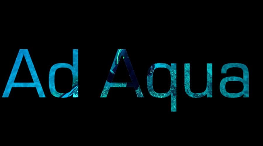 Vm 07lionelpawlowskiad Aqua1er Prix Video Master