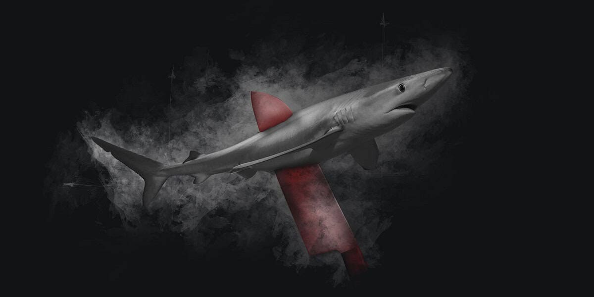 Stop Finning Sharkproject2