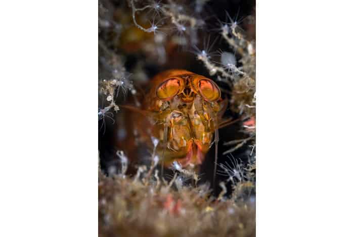Porfolio Lespagne Claude 06