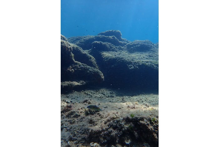 04 Meduse Photo 3