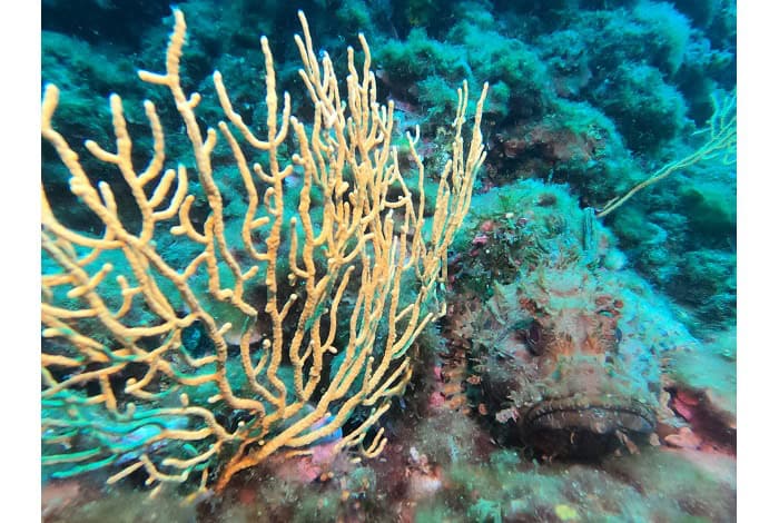 Dcim103goprogopr5708.jpg