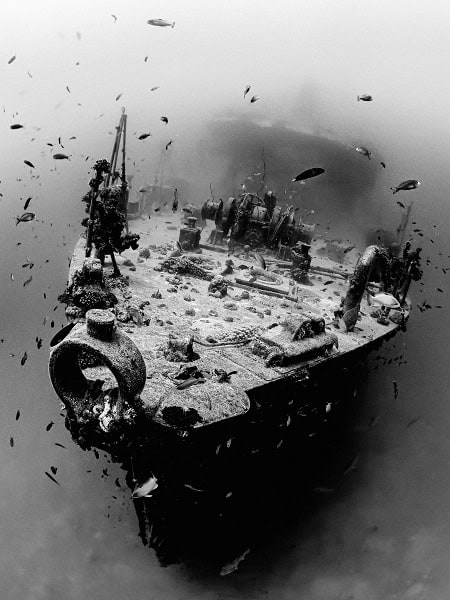 1er Prix Noir Blanckazmierskichristopheles Structures Complexes De La Dieppoise