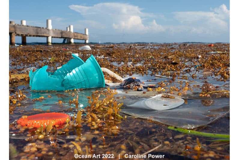 2nd Underwater Conservation Caroline Power Drowned In Plastic