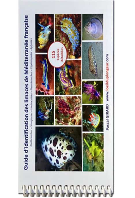 Guide D'identification Des Limaces De Méditerranée Française
