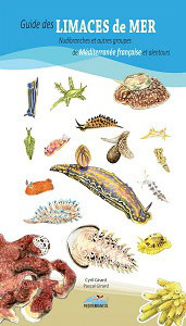 Guide des limaces de mer