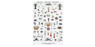 Poster Mollusques et crustacés comestibles