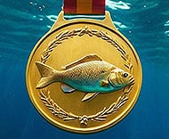 Underwater Photo Contest Winners