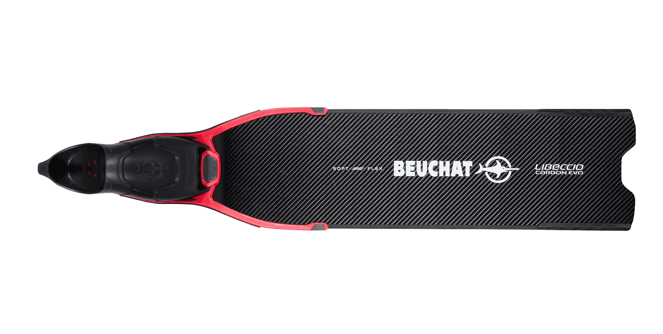 Palme Beuchat Libeccio 01(1)