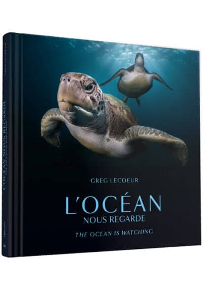 L'ocean nous regarde