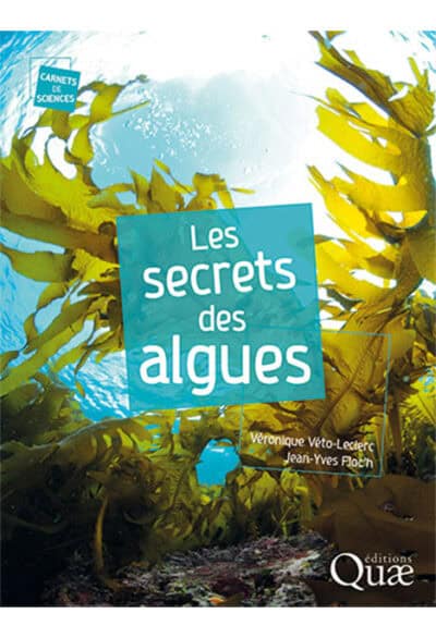 Les secrets des algues