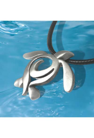Tortue cordon noir