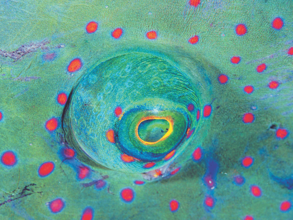Aquapixel (3) (1)